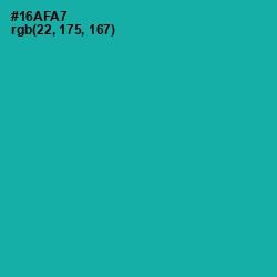 #16AFA7 - Eastern Blue Color Image