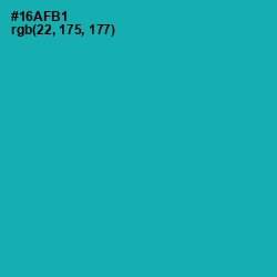 #16AFB1 - Eastern Blue Color Image