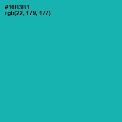 #16B3B1 - Eastern Blue Color Image