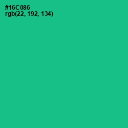 #16C086 - Caribbean Green Color Image