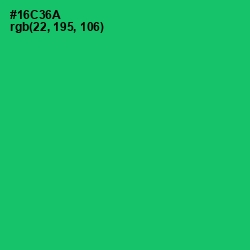 #16C36A - Malachite Color Image