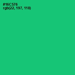 #16C576 - Malachite Color Image