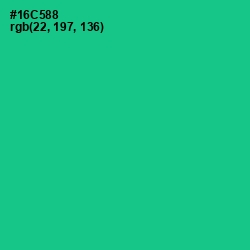 #16C588 - Caribbean Green Color Image