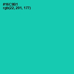 #16C9B1 - Caribbean Green Color Image