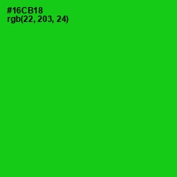 #16CB18 - Green Color Image