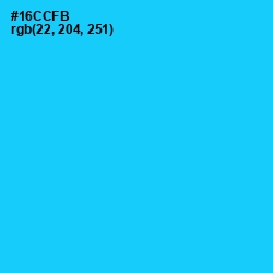 #16CCFB - Bright Turquoise Color Image