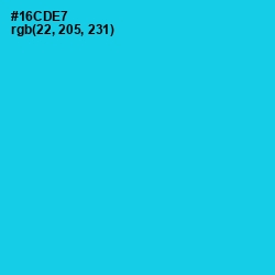 #16CDE7 - Bright Turquoise Color Image