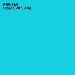 #16CFE0 - Bright Turquoise Color Image