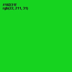 #16D31F - Green Color Image