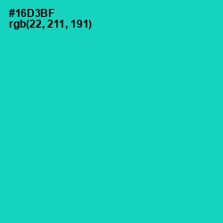 #16D3BF - Caribbean Green Color Image