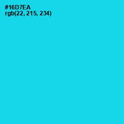 #16D7EA - Bright Turquoise Color Image