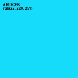 #16DCFB - Bright Turquoise Color Image