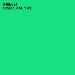 #16E084 - Caribbean Green Color Image