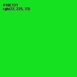 #16E121 - Green Color Image
