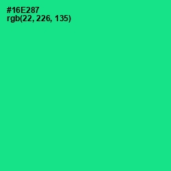 #16E287 - Caribbean Green Color Image