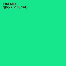 #16E68D - Caribbean Green Color Image