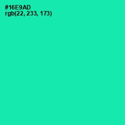 #16E9AD - Caribbean Green Color Image