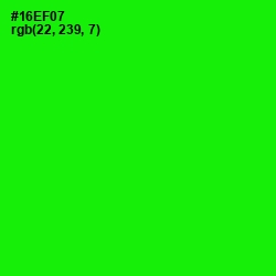 #16EF07 - Green Color Image
