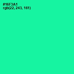 #16F3A1 - Caribbean Green Color Image