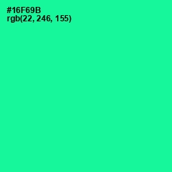 #16F69B - Caribbean Green Color Image