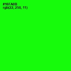 #16FA0B - Green Color Image