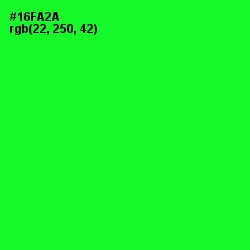 #16FA2A - Green Color Image