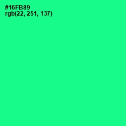 #16FB89 - Caribbean Green Color Image