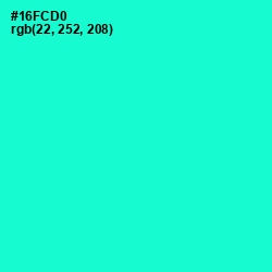 #16FCD0 - Bright Turquoise Color Image