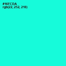 #16FCDA - Bright Turquoise Color Image