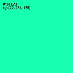 #16FEAF - Caribbean Green Color Image