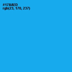 #17AAED - Dodger Blue Color Image