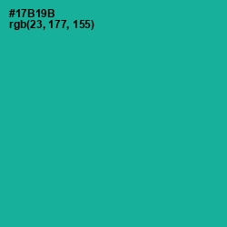 #17B19B - Mountain Meadow Color Image