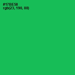 #17BE58 - Jade Color Image