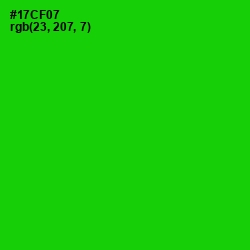 #17CF07 - Green Color Image