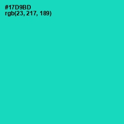 #17D9BD - Caribbean Green Color Image