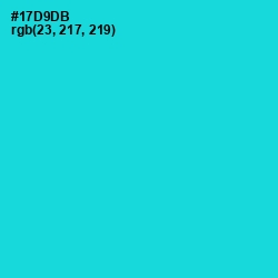 #17D9DB - Robin's Egg Blue Color Image