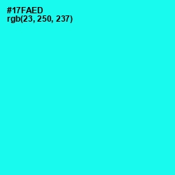 #17FAED - Cyan / Aqua Color Image