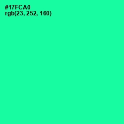 #17FCA0 - Caribbean Green Color Image