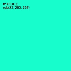 #17FDCC - Bright Turquoise Color Image