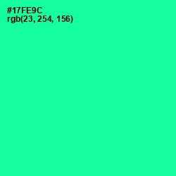 #17FE9C - Caribbean Green Color Image
