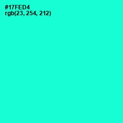 #17FED4 - Bright Turquoise Color Image