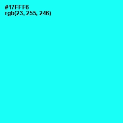 #17FFF6 - Cyan / Aqua Color Image