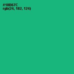 #18B67C - Jade Color Image