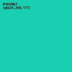 #18D0B1 - Caribbean Green Color Image