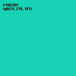 #18D2B5 - Caribbean Green Color Image