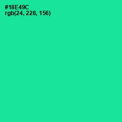 #18E49C - Caribbean Green Color Image