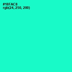 #18FAC8 - Bright Turquoise Color Image