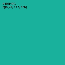 #19B19C - Mountain Meadow Color Image
