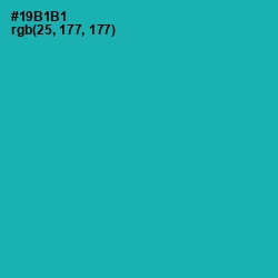 #19B1B1 - Eastern Blue Color Image