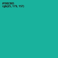 #19B39D - Mountain Meadow Color Image